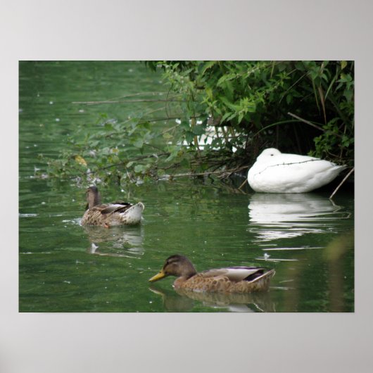 Waar slapende opbergapparaten in de afdruk zitten poster (Voorkant)