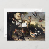 Waar vogelliedjes vandaan komen briefkaart (Voorkant / Achterkant)