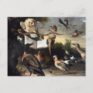 Waar vogelliedjes vandaan komen briefkaart