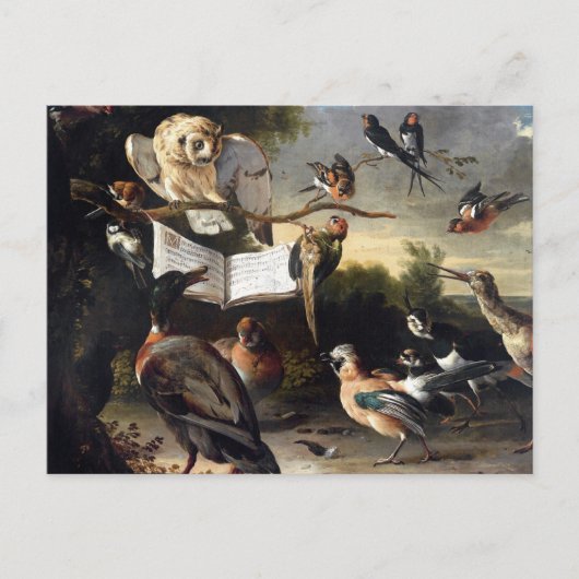 Waar vogelliedjes vandaan komen briefkaart (Voorkant)