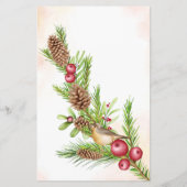 Waar waren de kerstkaarten van het Vrijgezellenfee Flyer (Achterkant)