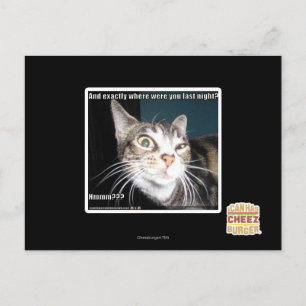 Waar waren jullie? briefkaart