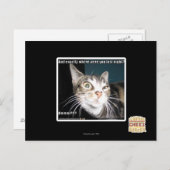 Waar waren jullie? briefkaart (Voorkant / Achterkant)