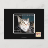 Waar waren jullie? briefkaart (Voorkant)