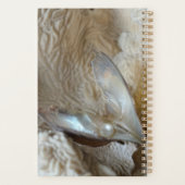 Waar zal ik mijn parels vandaag Draag worden? Planner (Achterkant)