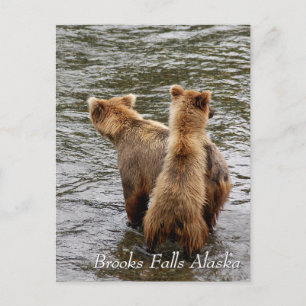 Waar zie je mama, Brooks Falls Alaska Briefkaart