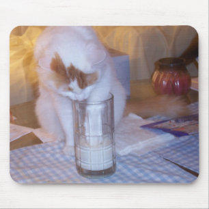 "WAAR" ZIJN DE EIEREN? MUISMAT