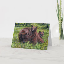 "Waar zijn Goldilocks?"