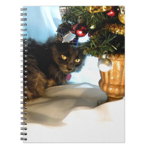 Waar zijn mijn Cadeaus? Notitieboek