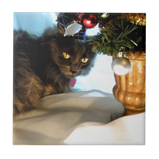 Waar zijn mijn Cadeaus? Tegeltje (Voorkant)