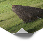 Waarde Poster papier strobalen (Hoek)