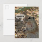Waardeer Jij Grondsquirrel Foto Woestijn Dier Briefkaart (Voorkant / Achterkant)