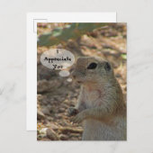 Waardeer Jou Grondsquirrel Foto Woestijn Dier Briefkaart (Voorkant / Achterkant)