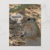 Waardeer Jou Grondsquirrel Foto Woestijn Dier Briefkaart (Voorkant)
