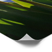 Waardeer onze wonderlijke Zuster posters prints RN (Hoek)