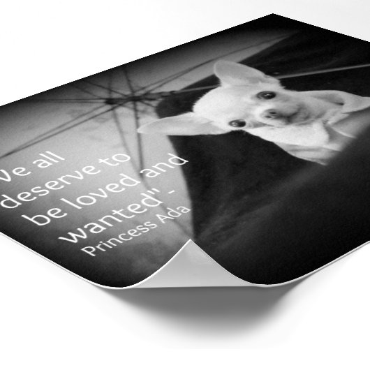 waardering van Chihuahua Poster (Hoek)