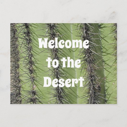 Waardering voor woestijn foto realty van Saguaro C Briefkaart (Voorkant)