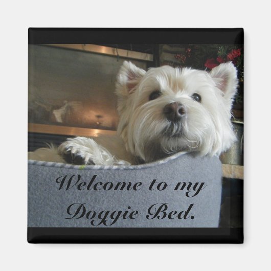 Waardig website foto magneet (Voorkant)