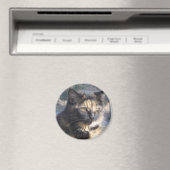 waardige kat magneet (Insitu (Vaatwasser))