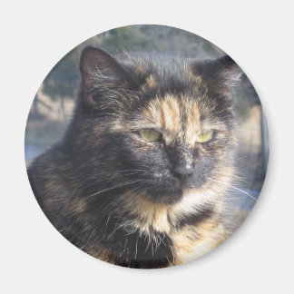 waardige kat magneet