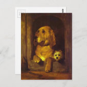 Waardigheid en impudentie van Edwin Henry Landseer Briefkaart (Voorkant / Achterkant)