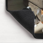 Waarheid in kat-vertising Cat Meme Muismat (Hoek)