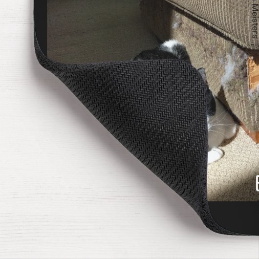 Waarheid in kat-vertising Cat Meme Muismat (Hoek)