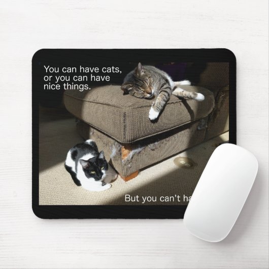 Waarheid in kat-vertising Cat Meme Muismat (Met muis)