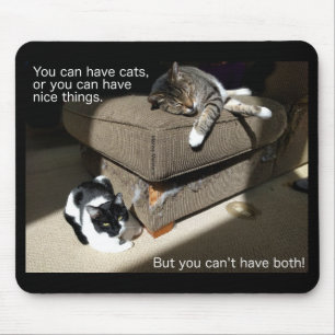 Waarheid in kat-vertising Cat Meme Muismat