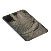 Waarheid ligt aan de onderkant van de put magneet (Rechterzijde)