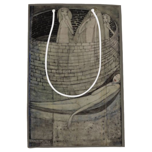 Waarheid ligt aan de onderkant van de put medium cadeauzakje (Voorkant)