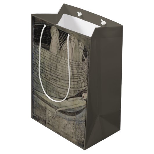 Waarheid ligt aan de onderkant van de put medium cadeauzakje (Achterkant Gekanteld)