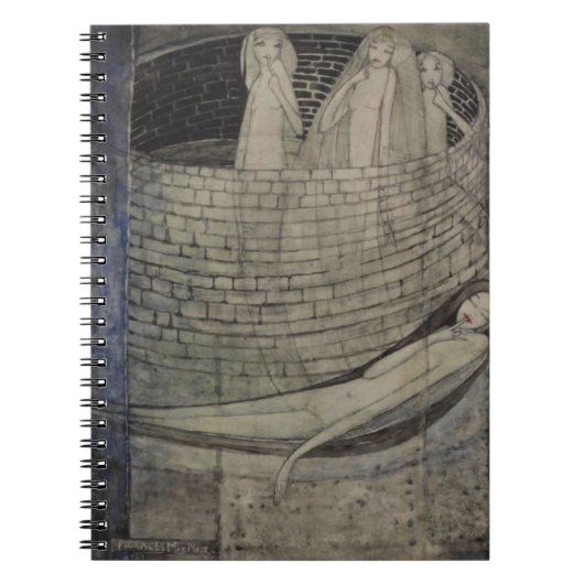 Waarheid ligt aan de onderkant van de put notitieboek (Voorkant)