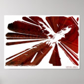 Waarheid Poster (Voorkant)