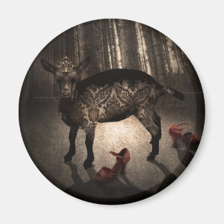 Waarnemend de prinses magneet