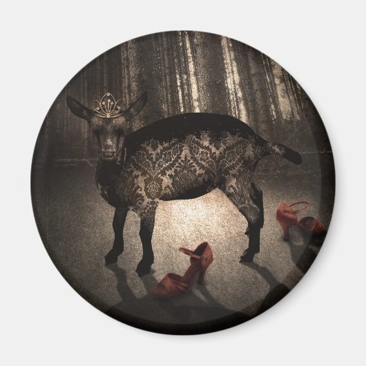 Waarnemend de prinses magneet (Voorkant)