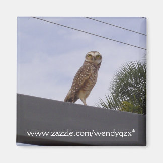 Waarnemende Uil Magneet