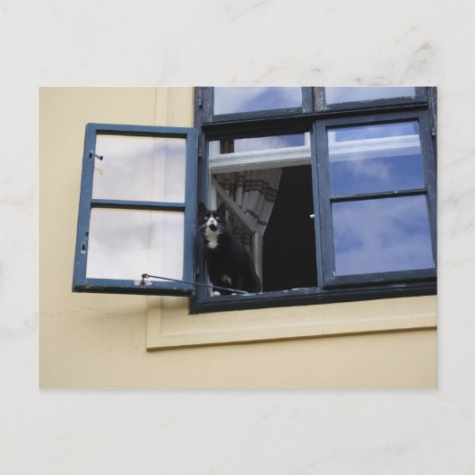 Waarnemer Briefkaart (Voorkant)