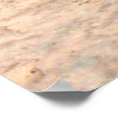 Waarnemer van de Canyon Poster (Hoek)