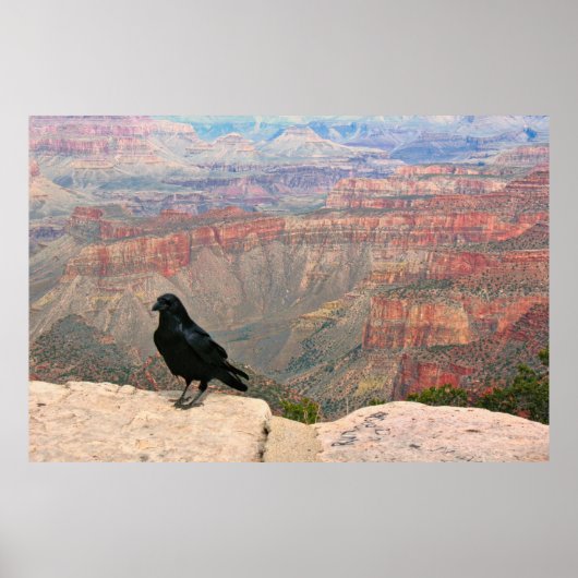 Waarnemer van de Canyon Poster (Voorkant)