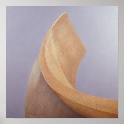 Waarnemingspost Jaipur Poster (Voorkant)