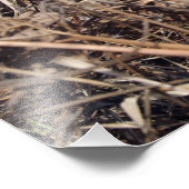 Waarnemingstechniek voor scoutwaarnemingen foto afdruk (Hoek)