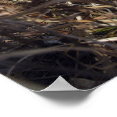 Waarnemingstechniek voor scoutwaarnemingen poster (Hoek)