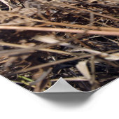 Waarnemingstechniek voor scoutwaarnemingen poster (Hoek)