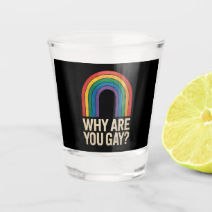 Waarom Ben Je Gay Funny Regenboog LGBTQ Pride Ally Shot Glas