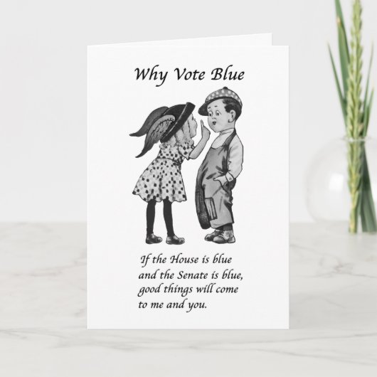 Waarom blauw stemmen in 2026 kaart (Voorkant)