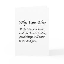 Waarom blauw stemmen in 2026