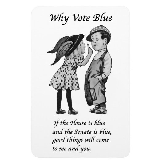 Waarom blauw stemmen in 2026 magneet (Verticaal)