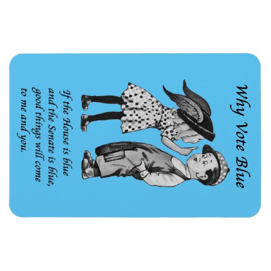 Waarom blauw stemmen in 2026 magneet (Horizontaal)