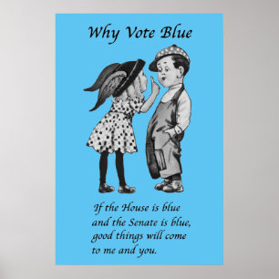 Waarom blauw stemmen in 2026 poster